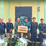 Trenggiling Hasil Serahan Warga Dilepasliarkan Kembali ke Cagar Alam Gunung Nyiut Bengkayang